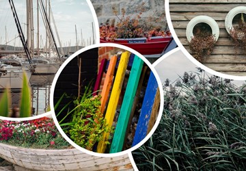 Get Planting to Improve your Environment 